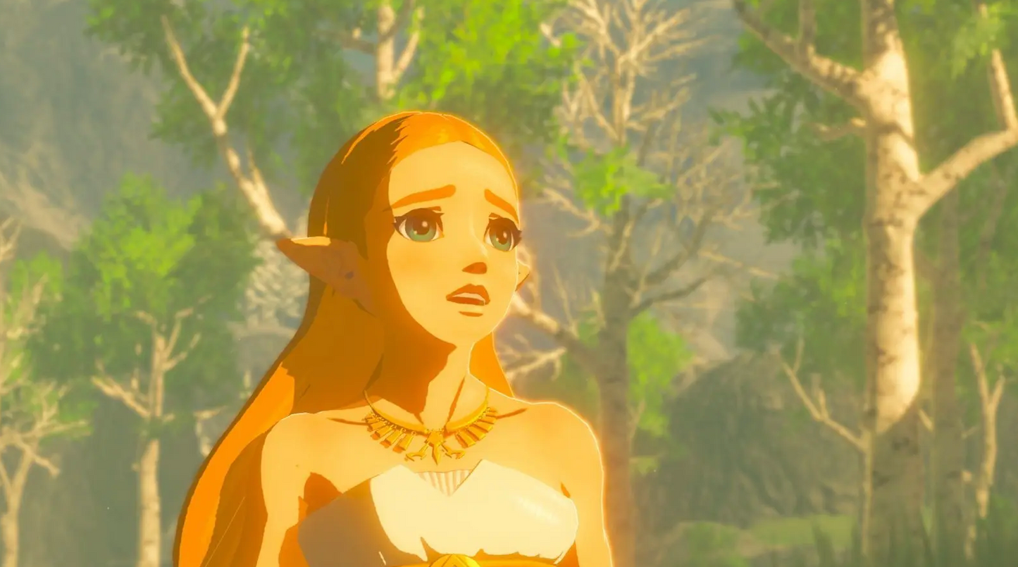 NINTENDO Switch Spiel – The Legend of Zelda: Breath of the Wild Prinzessin